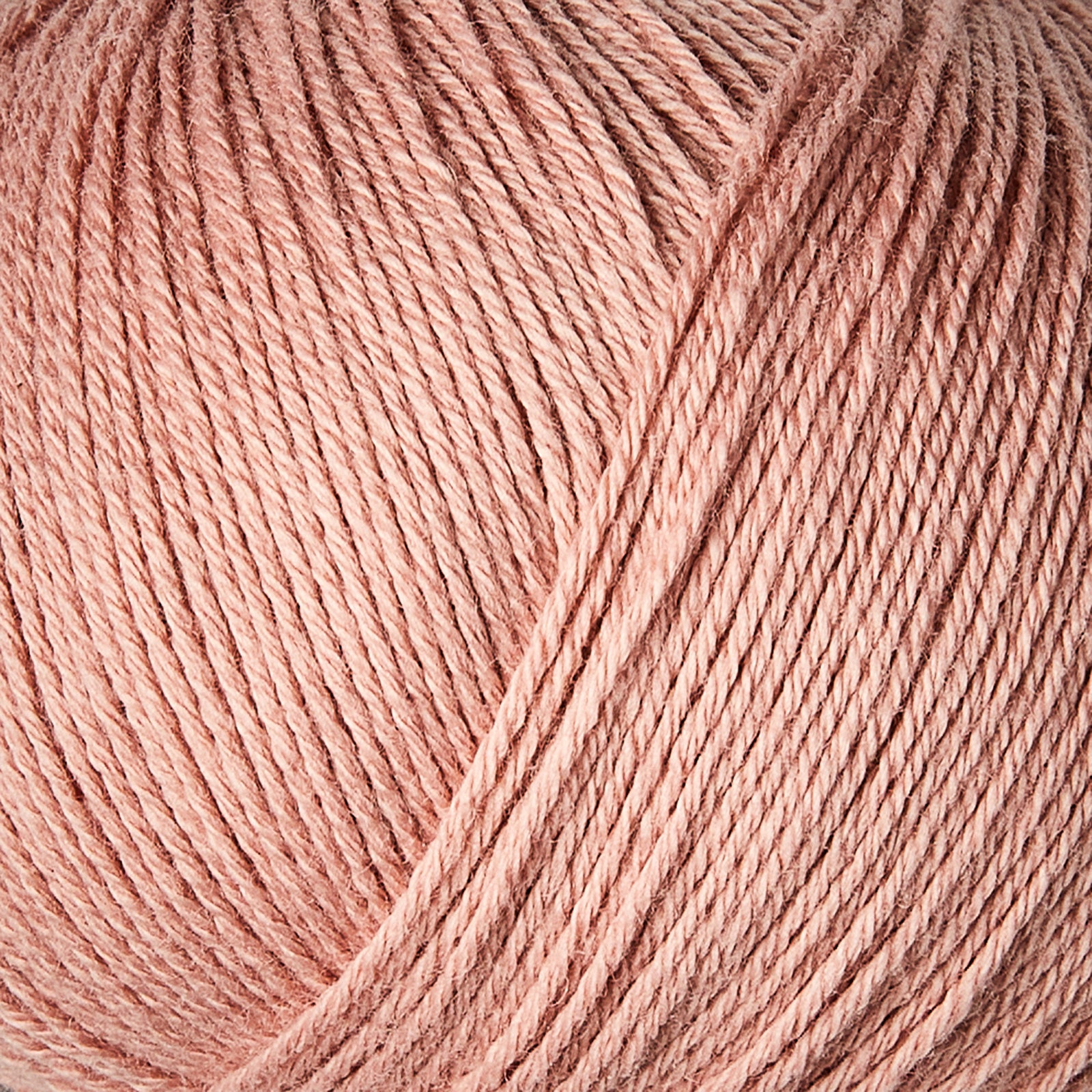 Rhubarb Rose